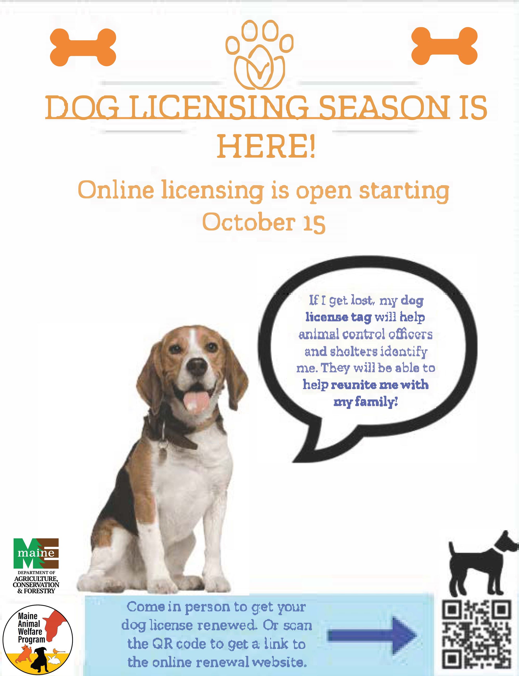 Online Dog License